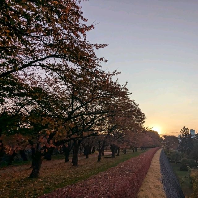 盛岡城跡的紅葉與日出，紐時評選必訪的城市第二名