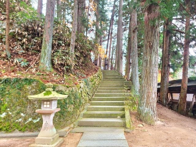 高山 - 氣派莊嚴的櫻山八幡宮