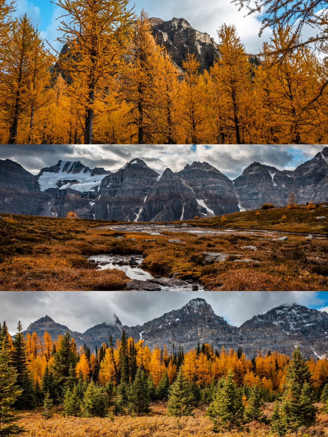 Fall in Love with Banff: A Guide to Canada’s Mountain Paradise