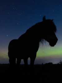 🐎A Magical Night Under Germany’s Northern Lights with my horse 😍