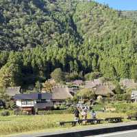 Miyama folk museum (Thatched-roof houses)