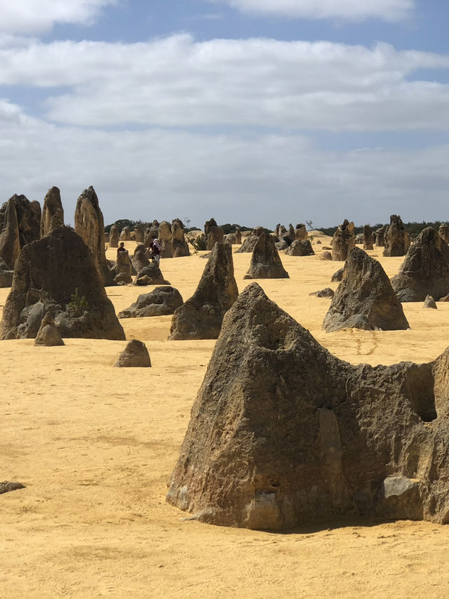 The Pinnacles: Perth’s Desert Wonderland