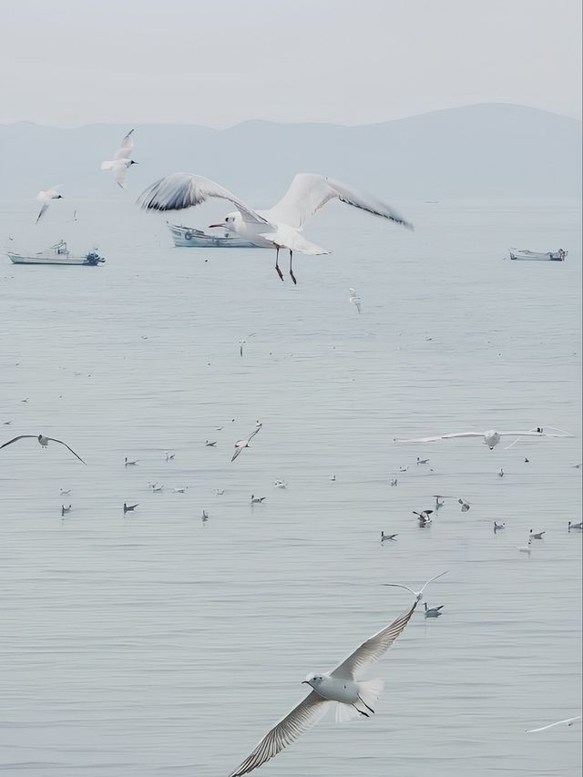 青島｜三天兩夜旅遊攻略