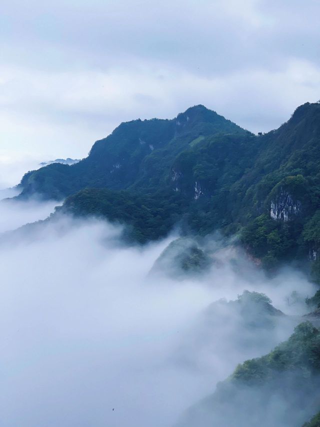 夏天15°？？避暑聖地一般人我不告訴他