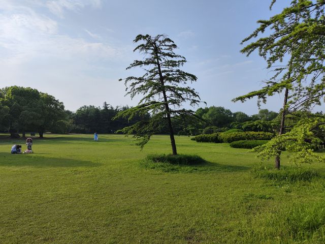 遇見最美月季合肥植物園