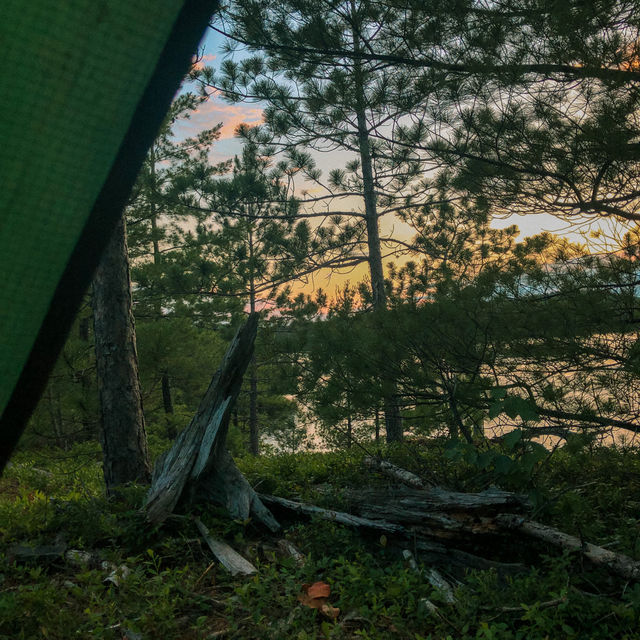 Canoe Trip and Camping on Lake Temagami 🇨🇦