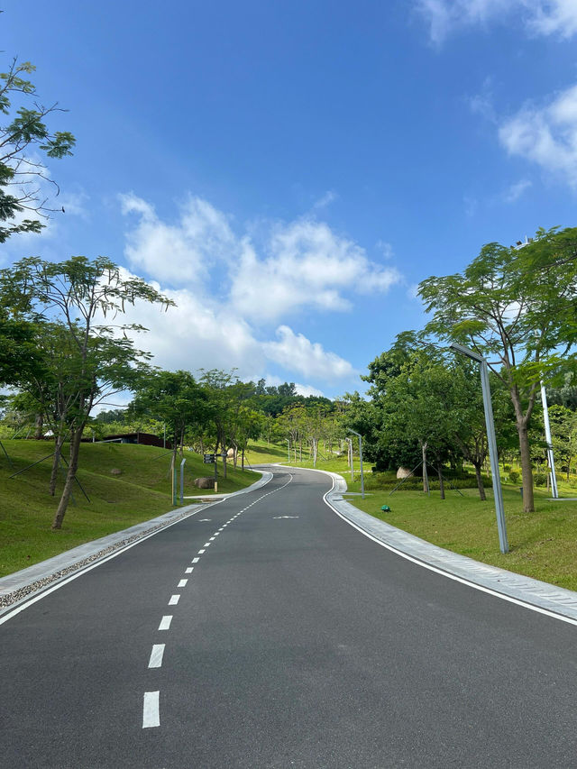 深圳公園｜城市裡的綠野仙蹤