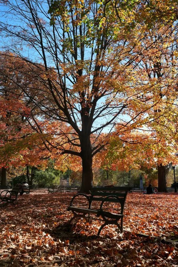 Autumn in New York City 🍂