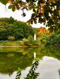 Explore Moomin Valley Park in Japan