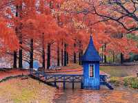 Experience Autumn in a Fairytale