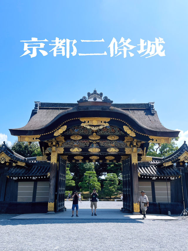 京都二條城一日攻略🏰 充滿了曆史的韻味了解日本江戶時代文化的絕佳地點