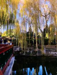 北京中山公園之秋，3元門票