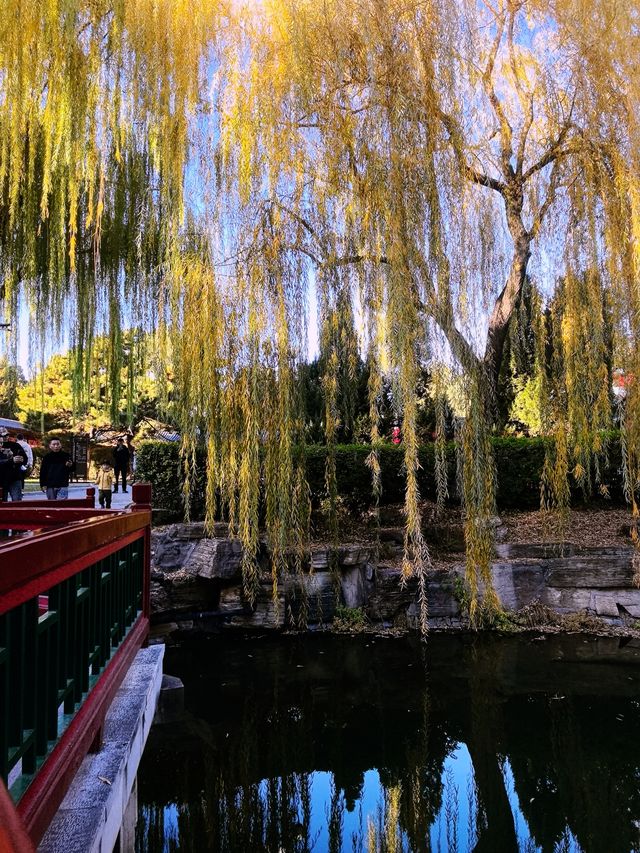 北京中山公園之秋，3元門票