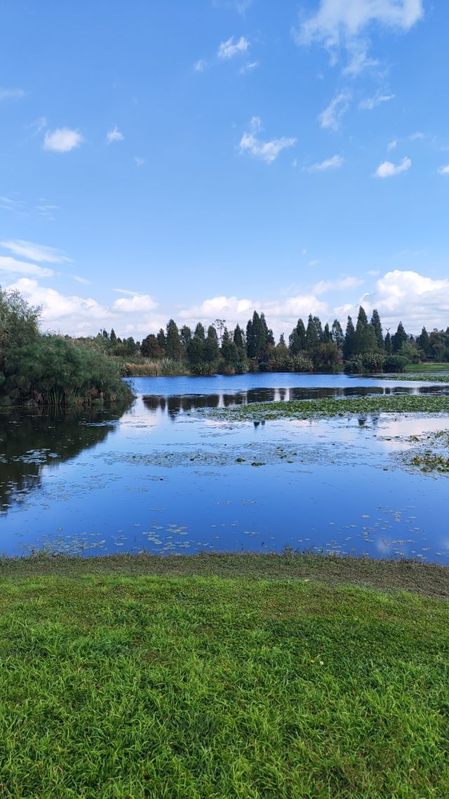 昆明市官渡區寶豐濕地公園，風光無限好