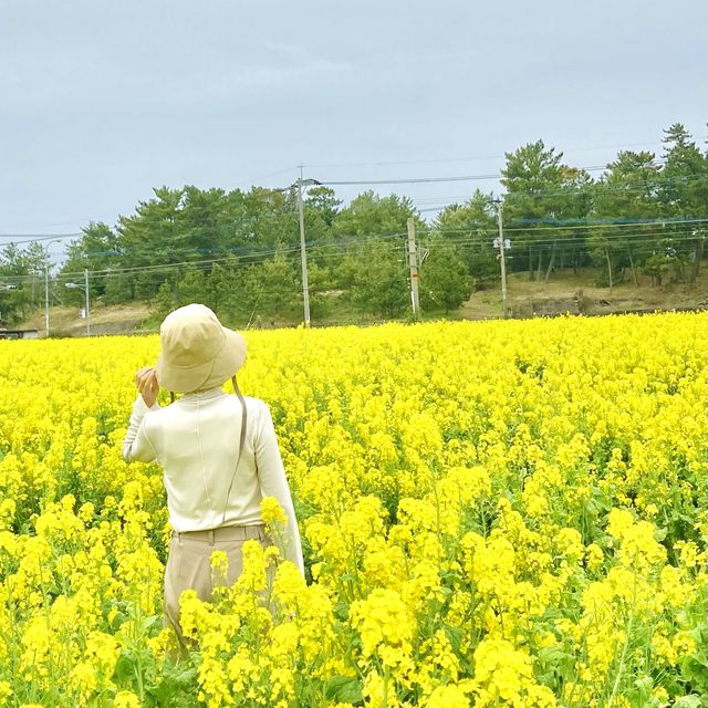 博多へ行くなら足を伸ばしてドライブ