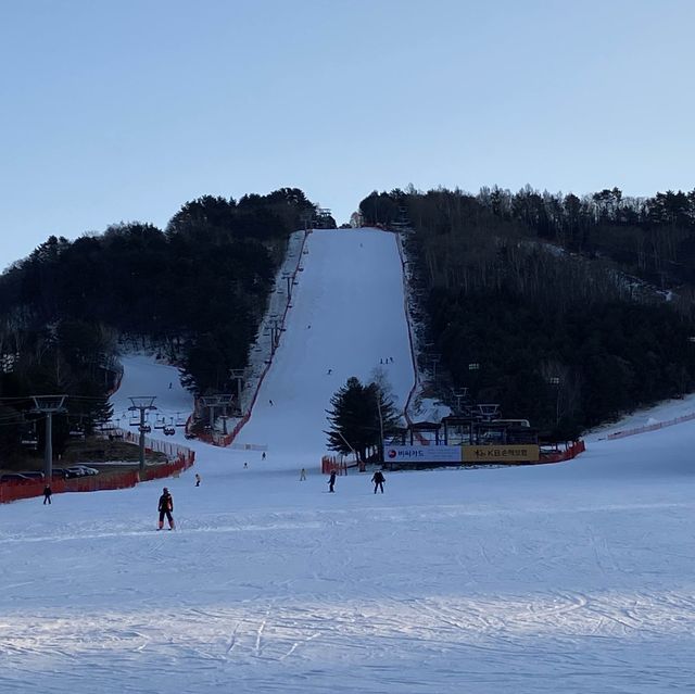 여기 알프스 아니야? 평창 알펜시아 리조트⛷️