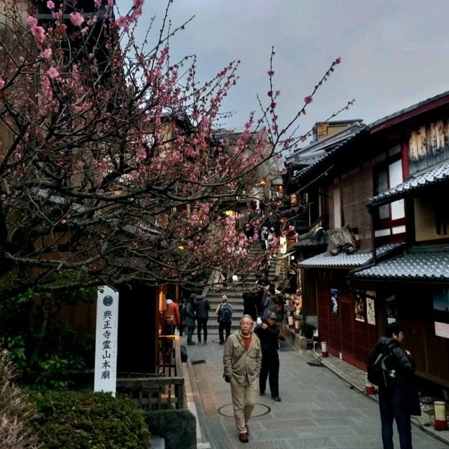 Charming Streets and Timeless Beauty: Gion, Kyoto