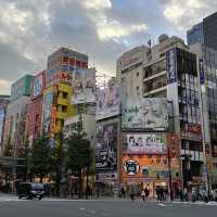 Electric town at Akihabara 