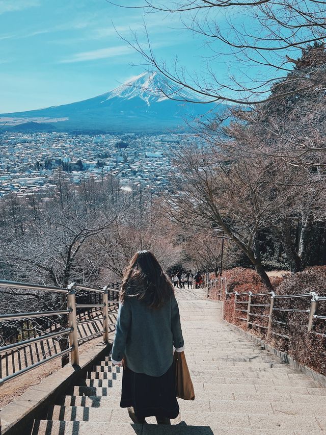 【河口湖富士山】三日兩夜行程