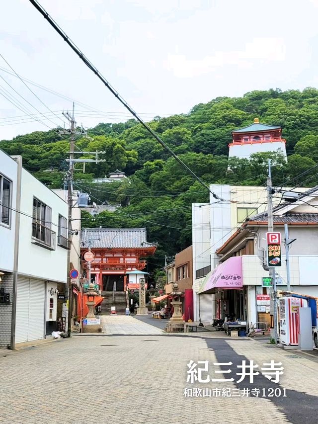 【和歌山】ドライブで行きたい絶景の寺「紀三井寺」