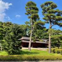 東京千代田區皇居-日本天皇的居所