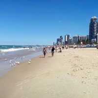 Surf day at the beach!