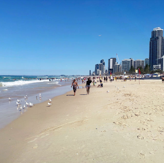 Surf day at the beach!