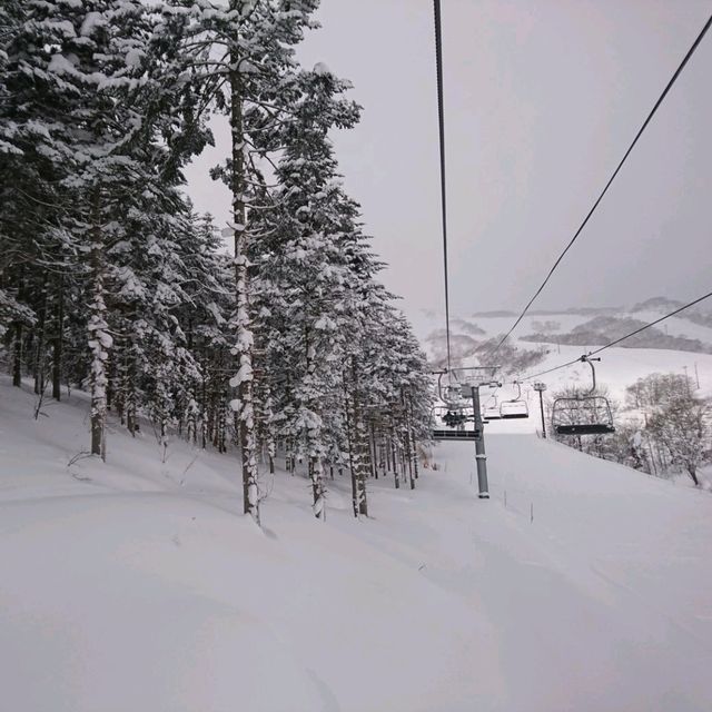 【ニセコ東急 グラン・ヒラフ:北海道倶知安町】ニセコで人気のスキー場⛷️