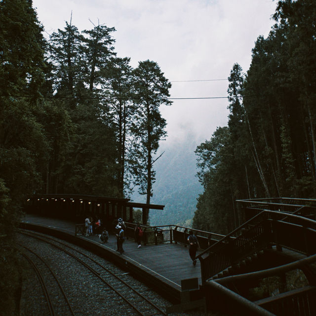 Alishan National Forest Recreation Area