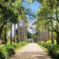 Green Oasis: Finding Peace at Williamstown Botanic Gardens