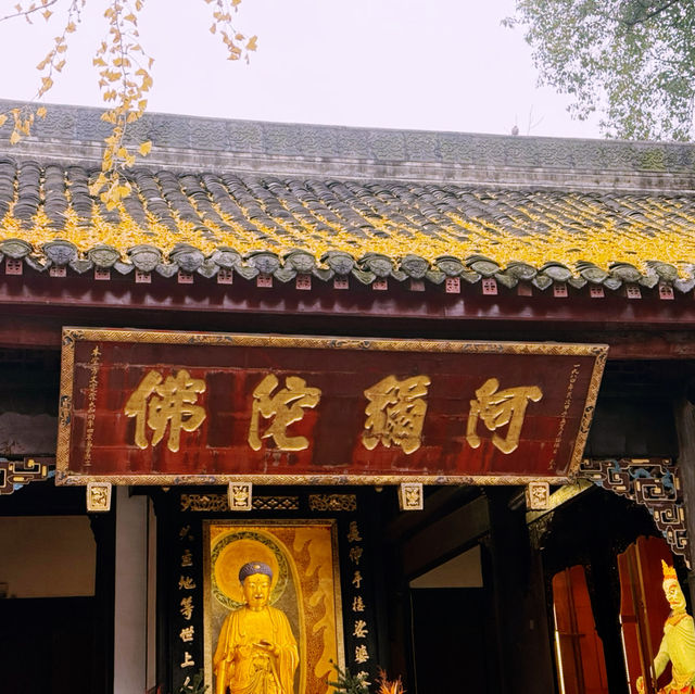 Golden Tranquility: Discover the Magic of Wenshu Yuan Monastery in Chengdu