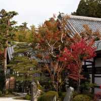 萬行寺🎡沉浸日本庭院之美！🍂