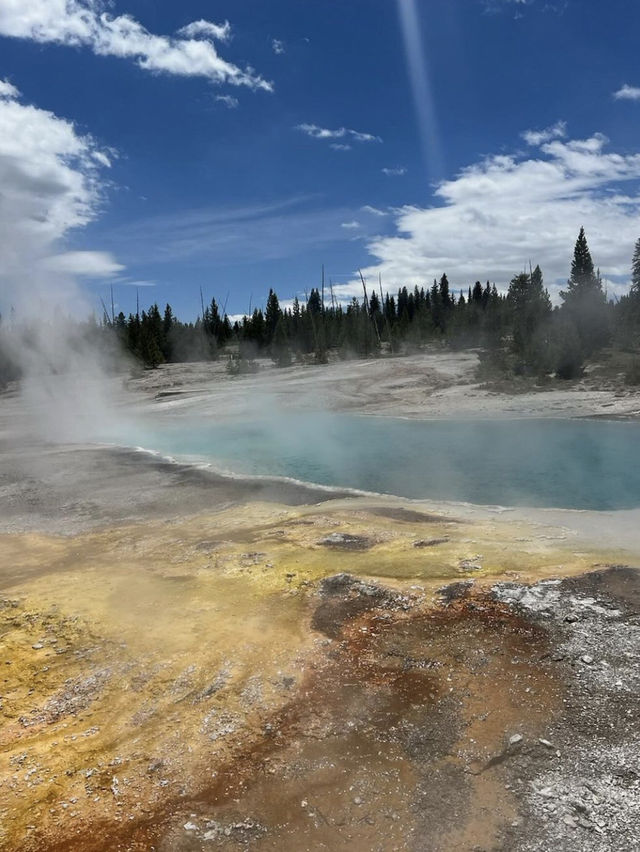 Yellowstone 🌴🏕️