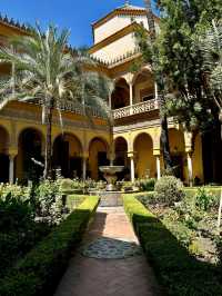 Las Duenas Palace - Seville, Spain