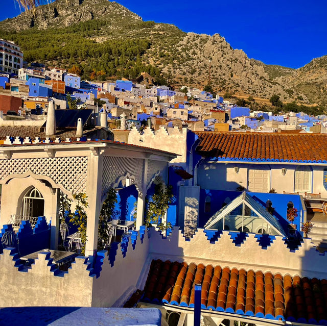 Chefchaouen : A Dream for Cat Lovers