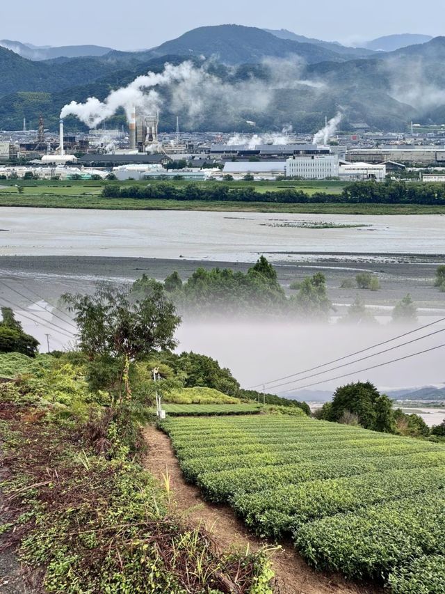 靜岡是一個充滿自然美景和歷史文化的地區！。