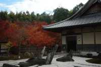 Kyoto To-ji Temple 