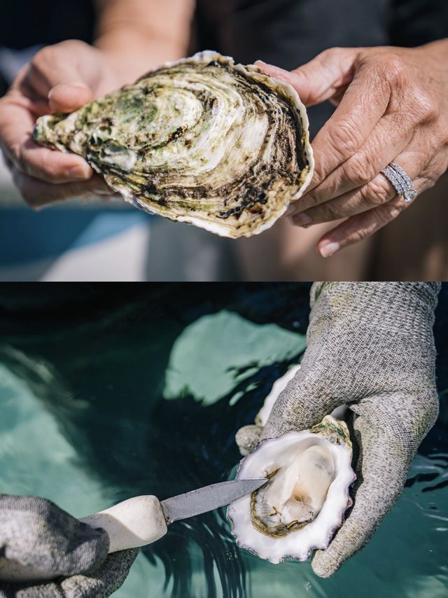 《孤獨星球》推薦，南半球的世外桃源！