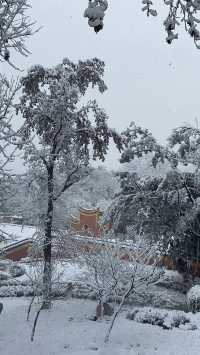 當橘子洲遇上雪