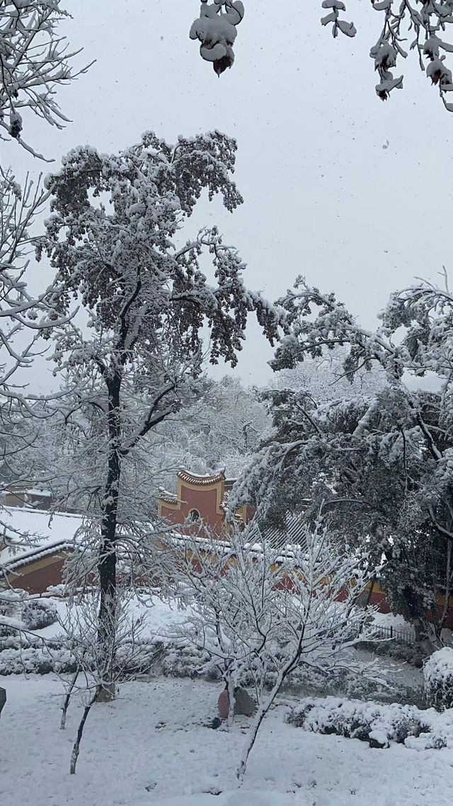 當橘子洲遇上雪