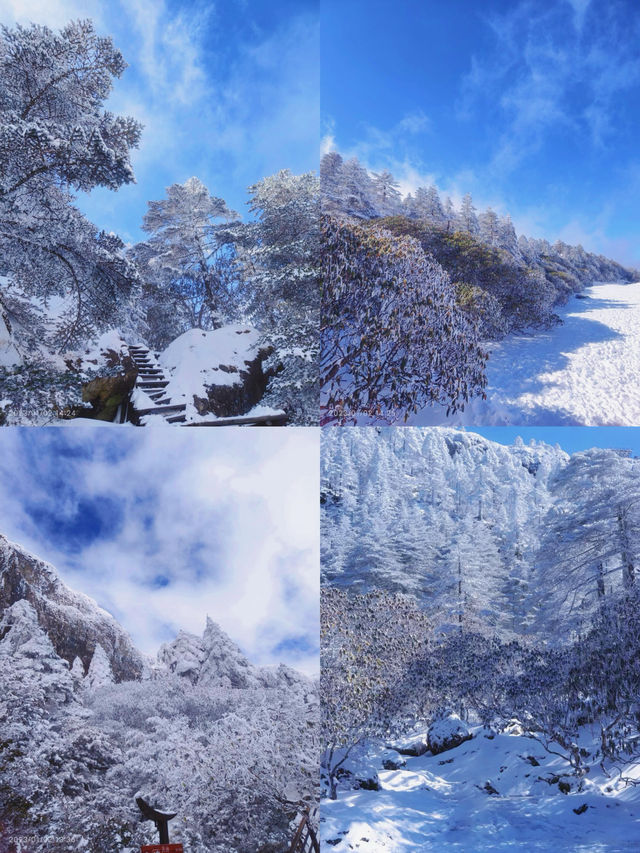 不是哈爾濱去不起，而是轎子雪山更有性價比