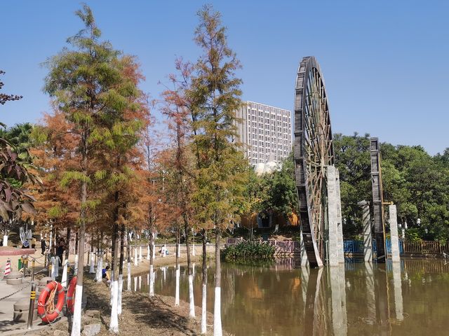 賞秋好去處，童夢樂園｜番禺區兒童公園