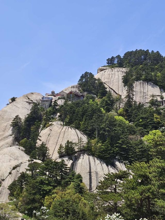 西安兵馬俑-華清宮-華山 長者遊玩攻略必收藏