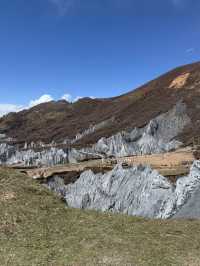 三日美學實現四姑娘山-新都橋 風景這邊獨好