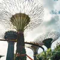 Singapore: Fusion of Culture, Cuisine, and Innovation