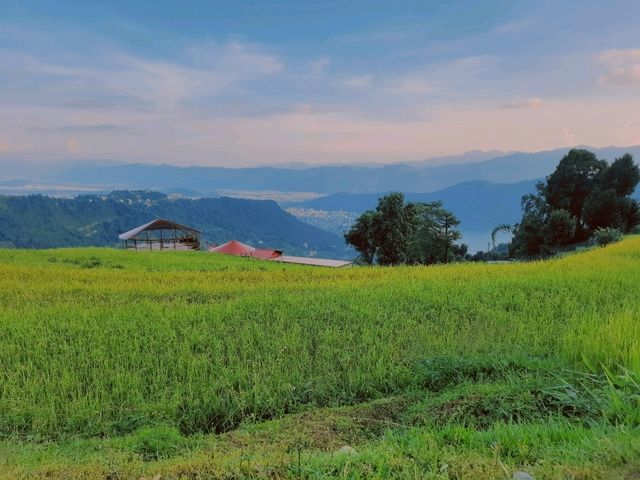 【博卡拉】漫步山林村莊🏡city walk，絕美梯田田園風光，純粹的綠色寧靜。