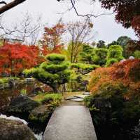 Nature’s Palette: Autumn Bliss at Kokoen Garden, Himeji!