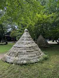 Exploring Nami Island