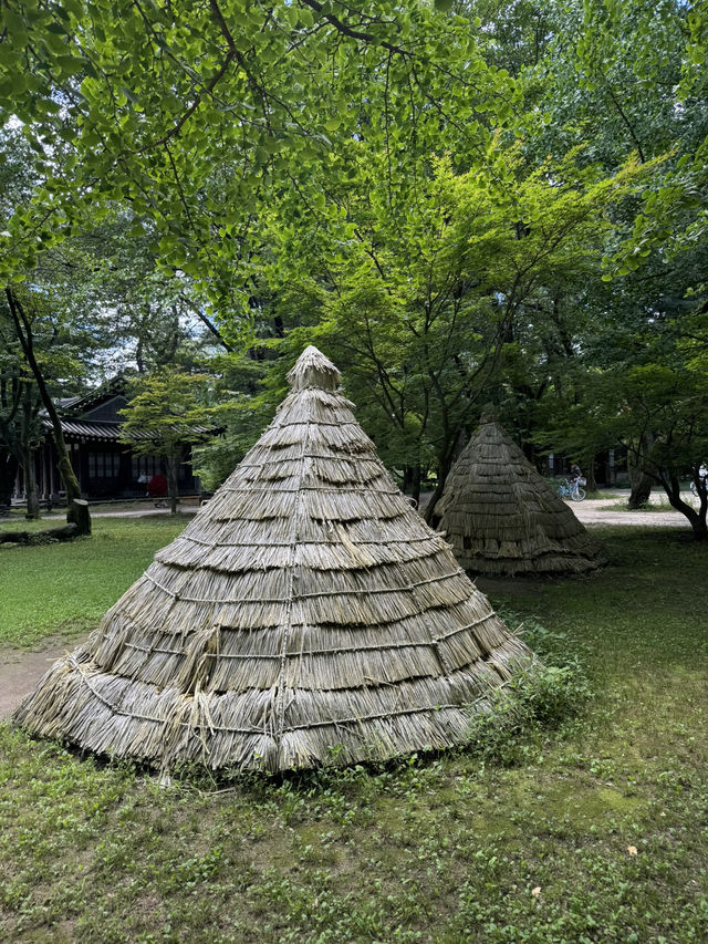 Exploring Nami Island