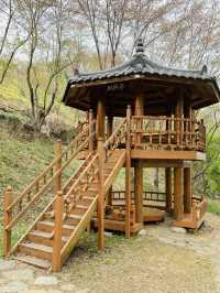 Chilbong: Blooming Wonders and Panoramic Views of Jeonju